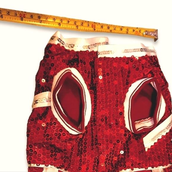 Small Dog Harness and Cheer Costume - Picture 3 of 8